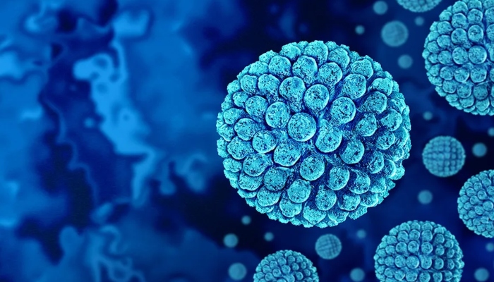 Norovirus outbreak: हंता के बाद नोरोवायरस का फैला आतंक, अब तक इसकी चपेट में 115 लोग