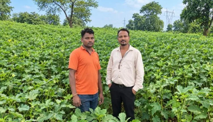 उद्यानिकी योजनाओं से खेती को मिला नया विस्तार, परिवार की आर्थिक स्थिति हुई मजबूत