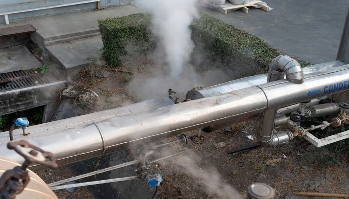 Chapara Ammonia Gas Leak: छपरा में अमोनिया गैस रिसाव से मची अफरा-तफरी, चपेट मे 10 लोग