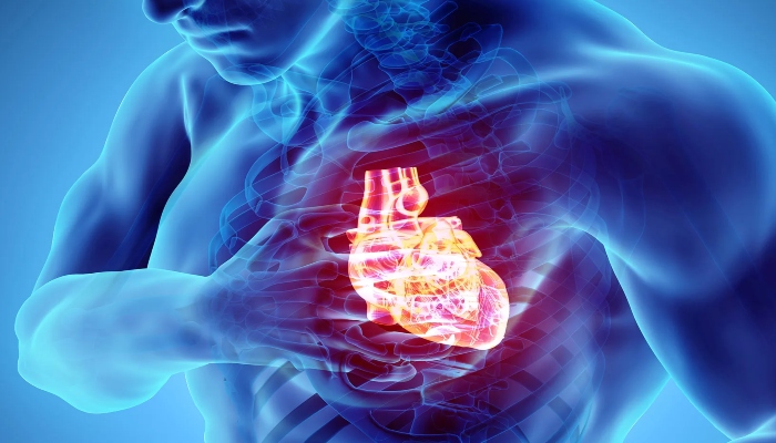 Sudden Cardiac Arrest: फिट लोगों को क्यों आ रहा हार्ट अटैक, जानें वजह