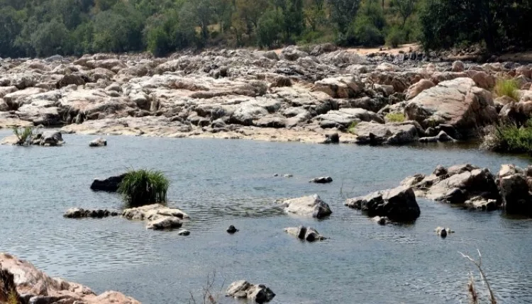 कावेरी जल विवाद पर कर्नाटक सरकार खटखटाएगी सुप्रीम कोर्ट का दरवाजा