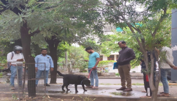 Lucknow Municipal Corporation : बिना लाइसेंस कुत्ता पालने पर कड़ी कार्रवाई की, कई चालान काटे