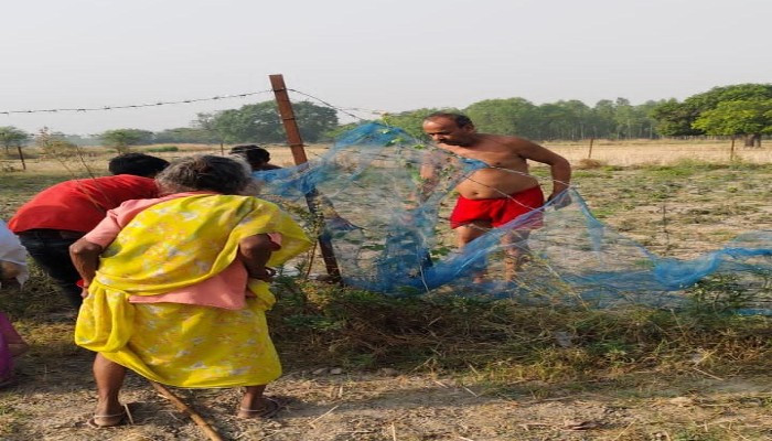 खेत में लगी झटका मशीन से करंट लगने से वृद्ध की मौत