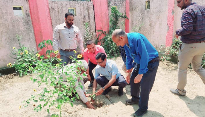 विश्व पर्यावरण दिवस पर अधिकारियों ने लगाए पौधे,गोष्ठी का किया गया आयोजन