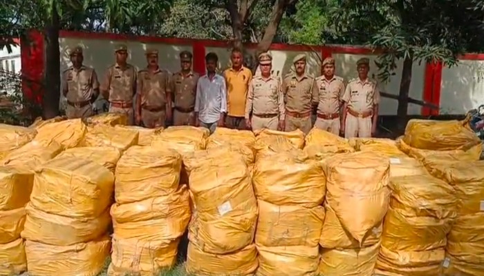 तस्करी कर लाए जा रहे मानव सेक्स टॉय को पुलिस और कस्टम ने किया जब्त