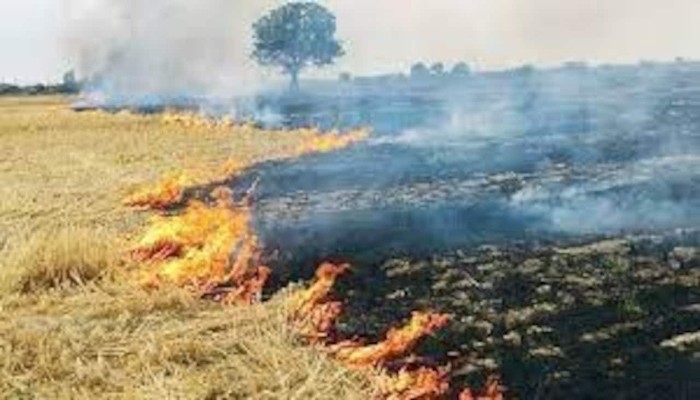 प्रशासन ने पराली जलाने से रोकने के लिए उठाए कड़े कदम, दिए निर्देश