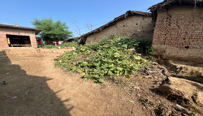 टॉफी खिलाने के बहाने मासूम से किशोर ने किया दुष्कर्म, रिपोर्ट दर्ज