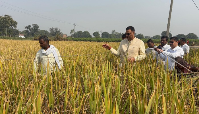 जिलाधिकारी ने की क्रॉप कटिंग और फसल की उत्पादकता की जांच