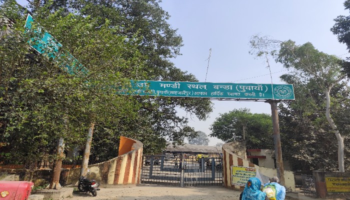 Shahjahanpur News: किसान बिचौलियों को अपना धान बेचने को मजबूर