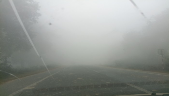 पीलीभीत में घने कोहरे के साथ बढ़ी ठंड, तापमान 12 डिग्री तक गिरा