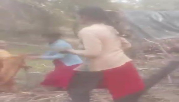 कोर्ट के आदेश की अनदेखी कर कब्जा, महिलाओं के बीच लाठी-डंडों से भिड़ंत