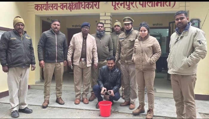 पीलीभीत में अवैध कछुए रखने पर युवक गिरफ्तार, भेजा गया जेल