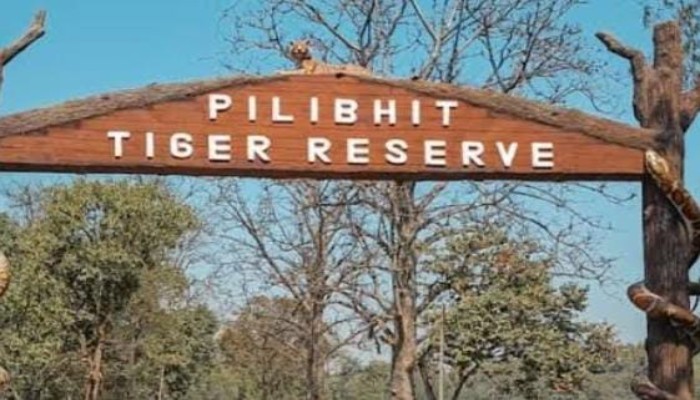 पीलीभीत टाइगर रिजर्व के आसपास ईको सेंसटिव जोन घोषित, दायरे में 230 गांव
