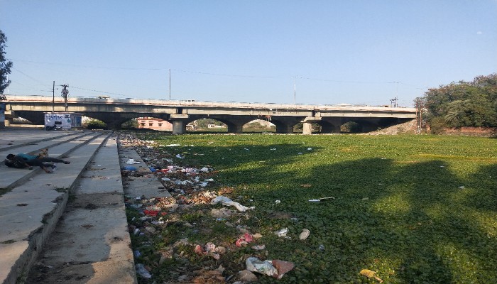 Jhansi: पहूज नदी के अस्तित्व और पर्यावरण को बचाने की बड़ी जंग