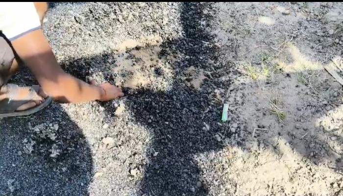 ग्रामीणों ने पापड़ की तरह उखाड़ी नई सड़क, वीडियो वायरल होते ही मचा हड़कंप