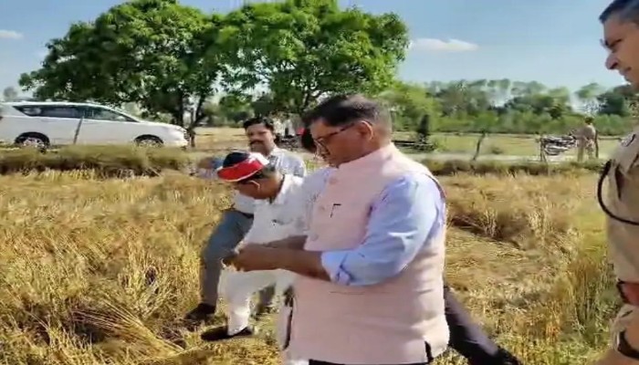 बारिश के कारण फसलें हुई बर्बाद, डीएम ने खेतों में जाकर किया सर्वे