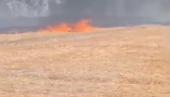 देंगकंजा क्षेत्र में गेहूं की पराली में भीषण आग, कारण अब तक अज्ञात