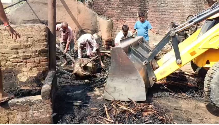 शाहजहाँपुर में आधी रात काल बनी भयानक आग! जिंदा जल गए बेजुबान, चीखों से काँपा पूरा गांव; लाखों का नुकसान