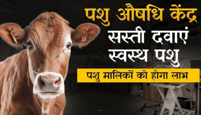 झांसी में नहीं मिला ‘पशु जन औषधि केंद्र’ योजना को रफ्तार, एक भी सहकारी समिति ने नहीं किया आवेदन