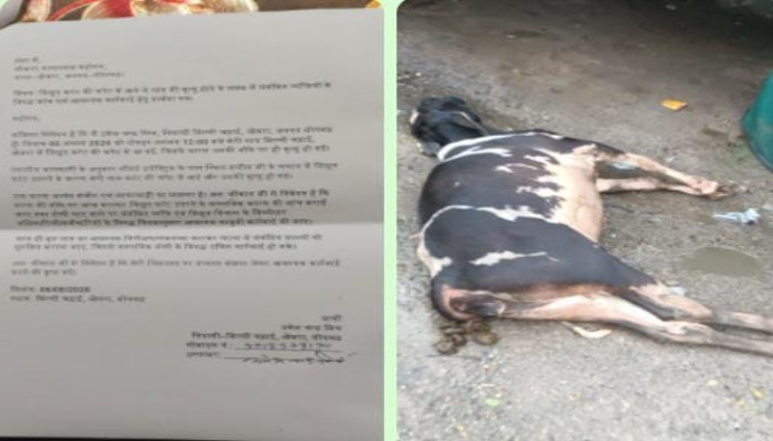 करंट लगने से गाय की मौत, ग्रामीणों में आक्रोश