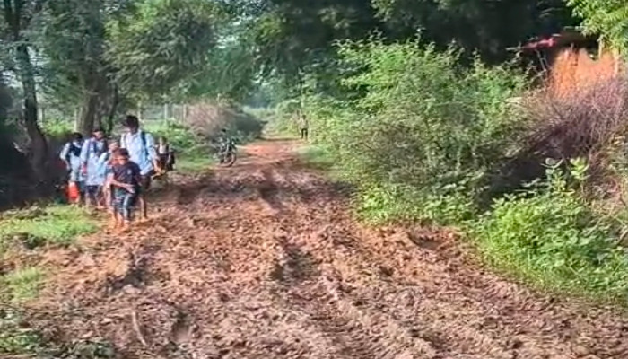 कंवरपुरा-काली तलाई मार्ग बदहाल, बारिश में कीचड़ से ग्रामीण परेशान