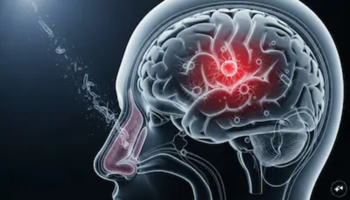Amoebic meningitis: केरल में ब्रेन-ईटिंग अमीबा से 11 साल की बच्ची संक्रमित, मामले बढ़कर तीन हुए
