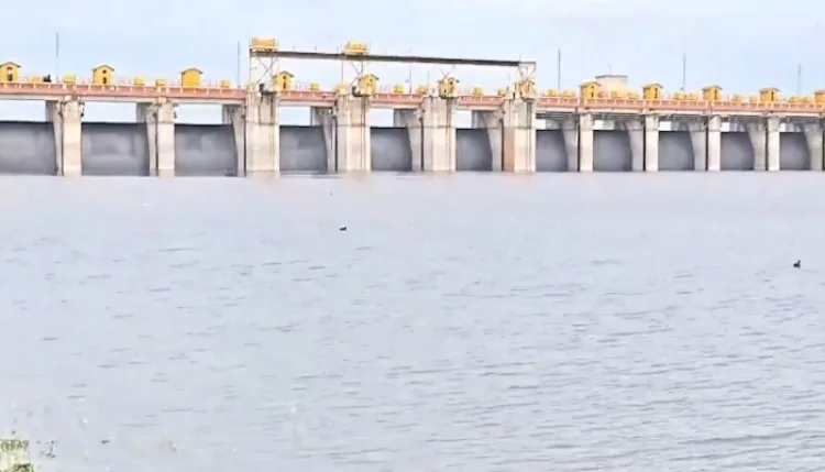 Maharashtra Rain: लगातार बारिश से उज्जनी बांध का जलस्तर बढ़ा, ‘डेड स्टोरेज लेवल’ पार