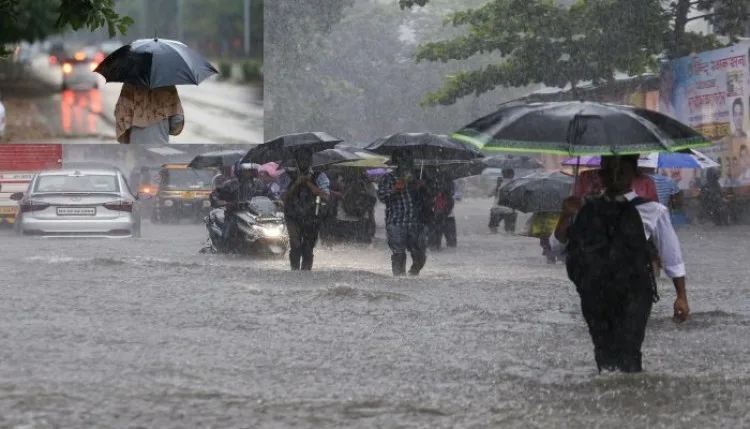 Monsoon Rain Alert: मानसून ने पकड़ी रफ्तार, यूपी समेत कई राज्यों में मूसलाधार बारिश की चेतावनी