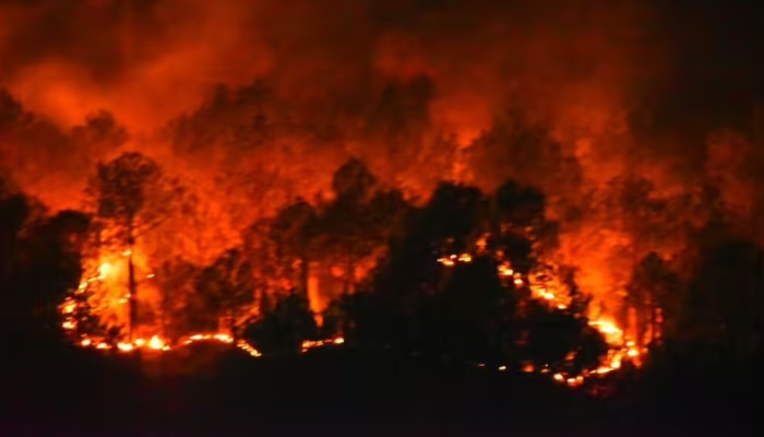 Wildfire in Pauri Garhwal forests: पौढ़ी गढ़वाल के जंगलों में लगी आग से स्कूल जलकर खाक