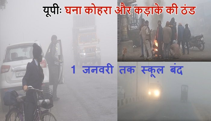 UP Cold Wave Alert: घना कोहरा और प्रचंड ठंड, यूपी में 12वीं तक के सभी स्कूल 1 जनवरी तक बंद