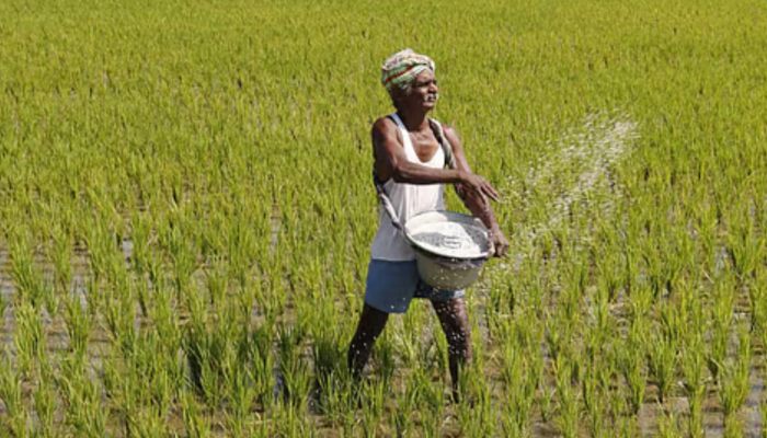 PM Crop Insurance Scheme : 31 से पहले करा लें यह काम... मुआवजा मिलने में नहीं आएगी दिक्कत