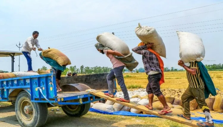 रिकॉर्ड खाद्यान्न उत्पादन से मजबूत हुई खाद्य सुरक्षा, भंडारण नेटवर्क भी बना सहारा