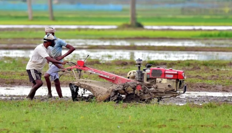 छत्तीसगढ़ में झमाझम बारिश से खिले किसानों के चेहरे, बंपर फसल की बढ़ी उम्मीद