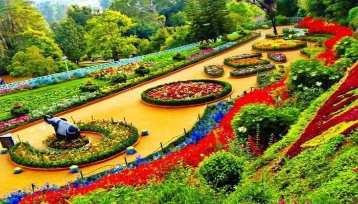 ऊटी में मशहूर फ्लावर फेस्टिवल की शुरुआत, 2 लाख गुलाबों से की सजावट, देश-विदेश से आएंगे पर्यटक