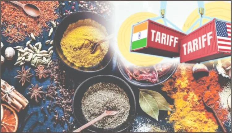 अमेरिकी मसाला उद्योग की मांग, भारतीय मसालों पर टैरिफ छूट रहे कायम