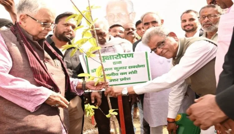 यूपी में बढ़ा हरित क्षेत्रफल, योगी सरकार ने 242 करोड़ पौधे लगवाए
