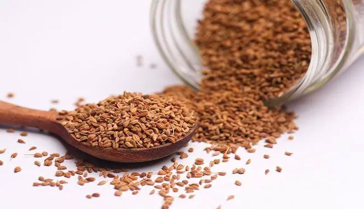 Ajwain Benefits: सेहत के लिए वरदान है अजवाइन, इसके बीजों में छिपे हैं अनगिनत फायदे