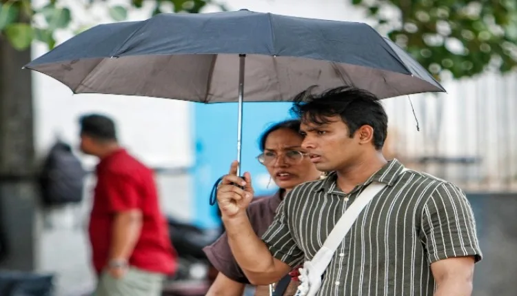 दिल्ली-एनसीआर में माॅनसून की गति धीमी, आज हल्की बारिश की संभावना, येलो अलर्ट जारी
