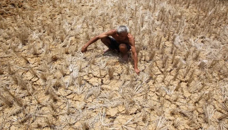 भारत समेत कई देशों में अल नीनो का असर, 4.5 लाख मौतों का अनुमान