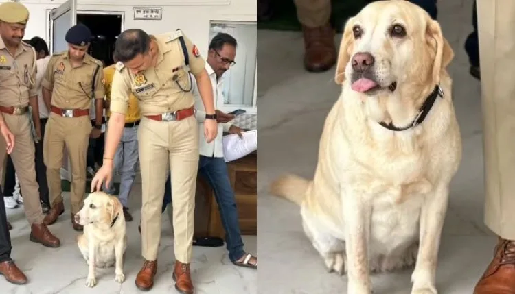 Sambhal News : गमछा सूंघते ही आरोपी के घर पहुंची डॉग ‘मैरी’, संभल पुलिस ने ऐसे सुलझाई ब्लाइंड रेप केस की गुत्थी