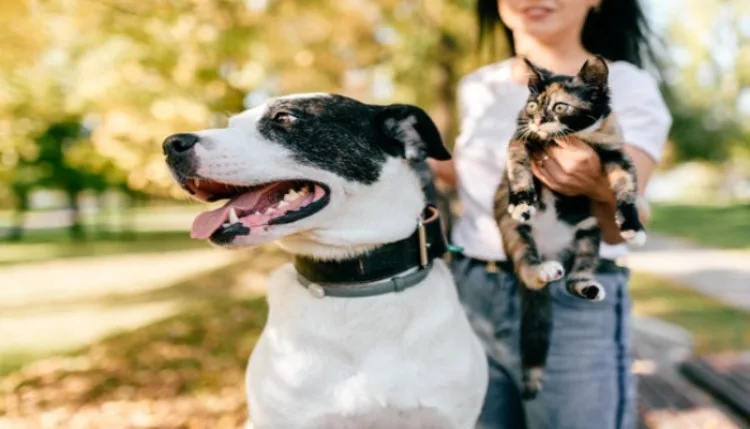 Zoonotic Disease Outbreak Prevention : जानें कैसे जानवरों की एक मामूली खरोंच आपको पड़ सकती है भारी!