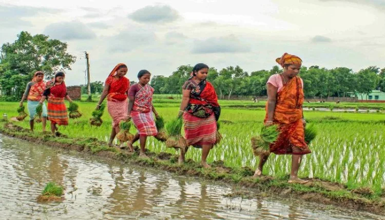 पश्चिम बंगालः प्रवासी मजदूर परिवारों की पहचान कर रोजगार कार्ड देगी सरकार