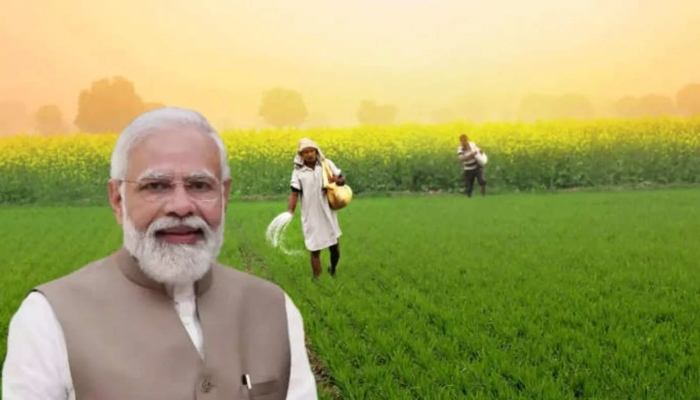 किसानों को मोदी सरकार का बड़ा तोहफाः खरीफ फसलों की MSP में बढ़ोतरी और ब्याज सहायता योजना को मिली मंजूरी