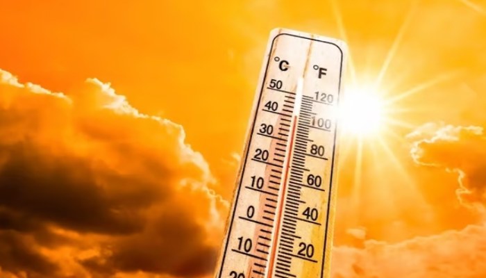 भीषण गर्मी से प्रदेश के 11 जिलों में रेड अलर्ट जारी, 53 जिलों में लू का अनुमान