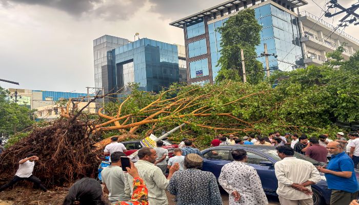 Delhi NCR Rain: दिल्ली-NCR में तूफानी बारिश, कई जगह गिरे पेड़, लगा भयंकर जाम