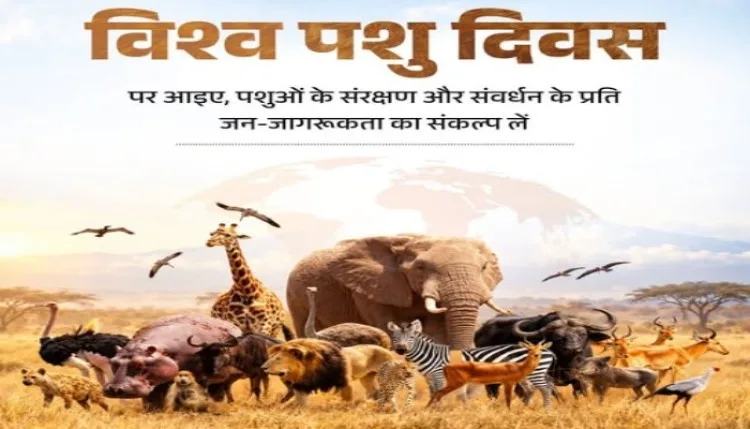 world welfare day : बेजुबानों को भी उनका हक चाहिए
