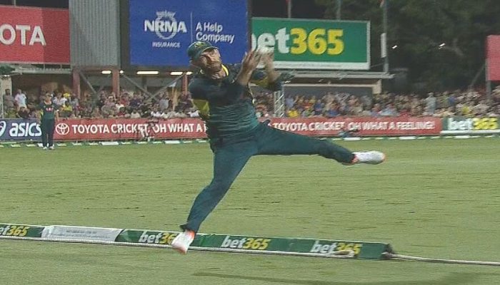 AUS vs SA : मैक्सवेल ने की t20 क्रिकेट में इस आस्ट्रेलियाई दिग्गज की बराबरी