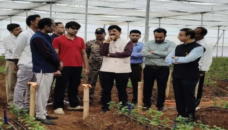 गुना में लोकप्रिय हो रही गुलाब की खेती, 8 लाख फूल उत्पादन की तैयारी