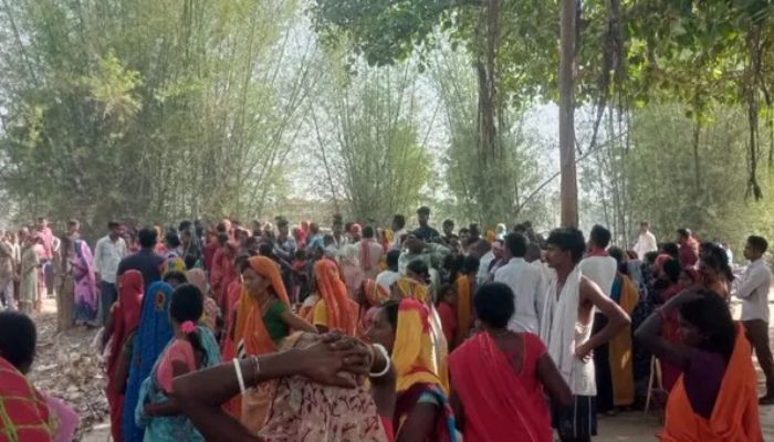 कोडरमा में जंगली हाथियों का आतंक: युवक को पटक-पटककर मार डाला, ग्रामीणों में आक्रोश