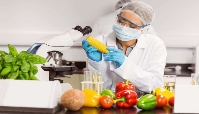 BTSC में फूड एनालिस्ट के कई पदों पर निकली भर्ती, इस दिन तक कर सकेंगे आवेदन